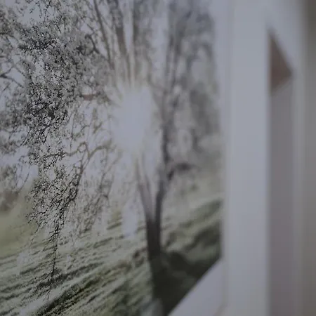 Stilvolle 2-zimmer-wohnung - Tram Vor Der Tuer - Parkplatz - Rainshower - Naehe Universitaet Apartman Kassel